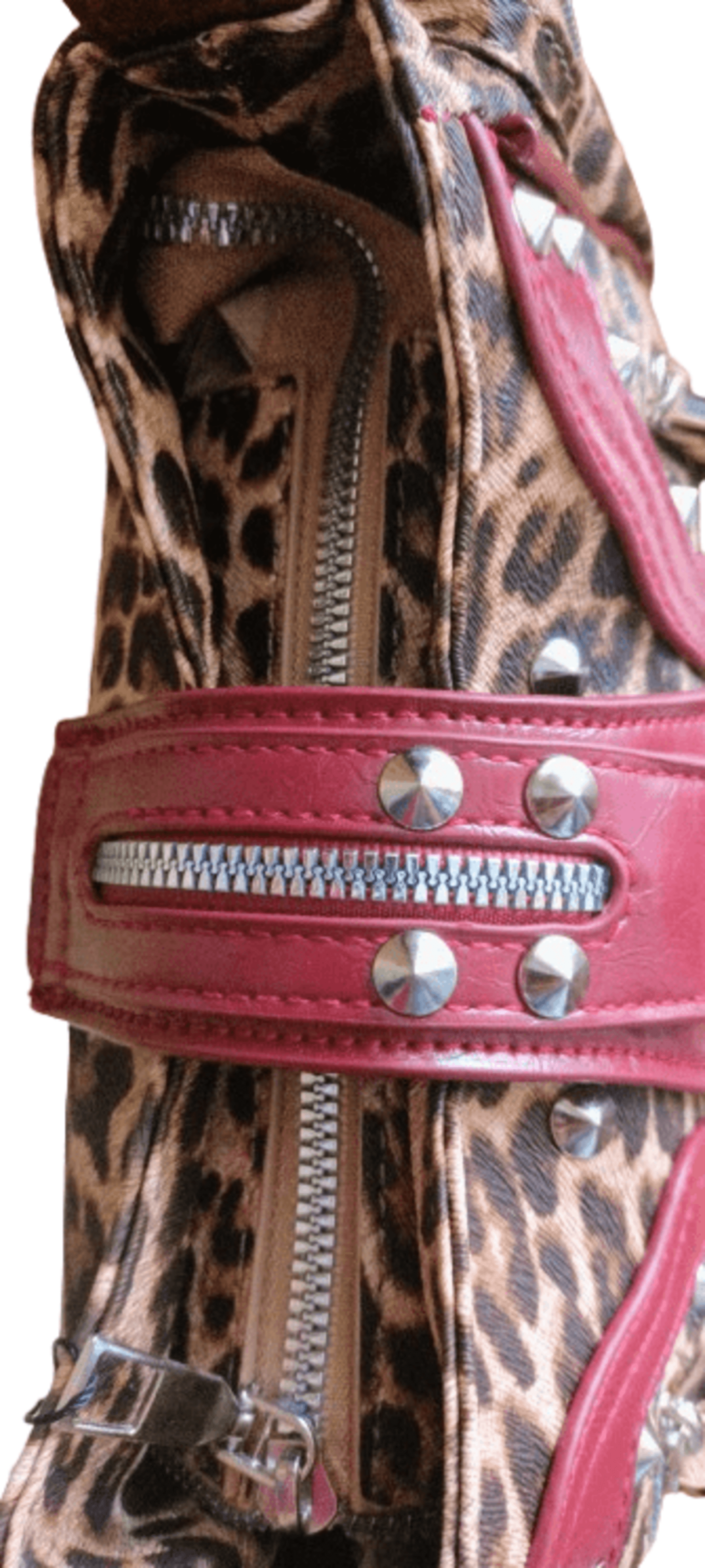 Dark leopard skull - 10