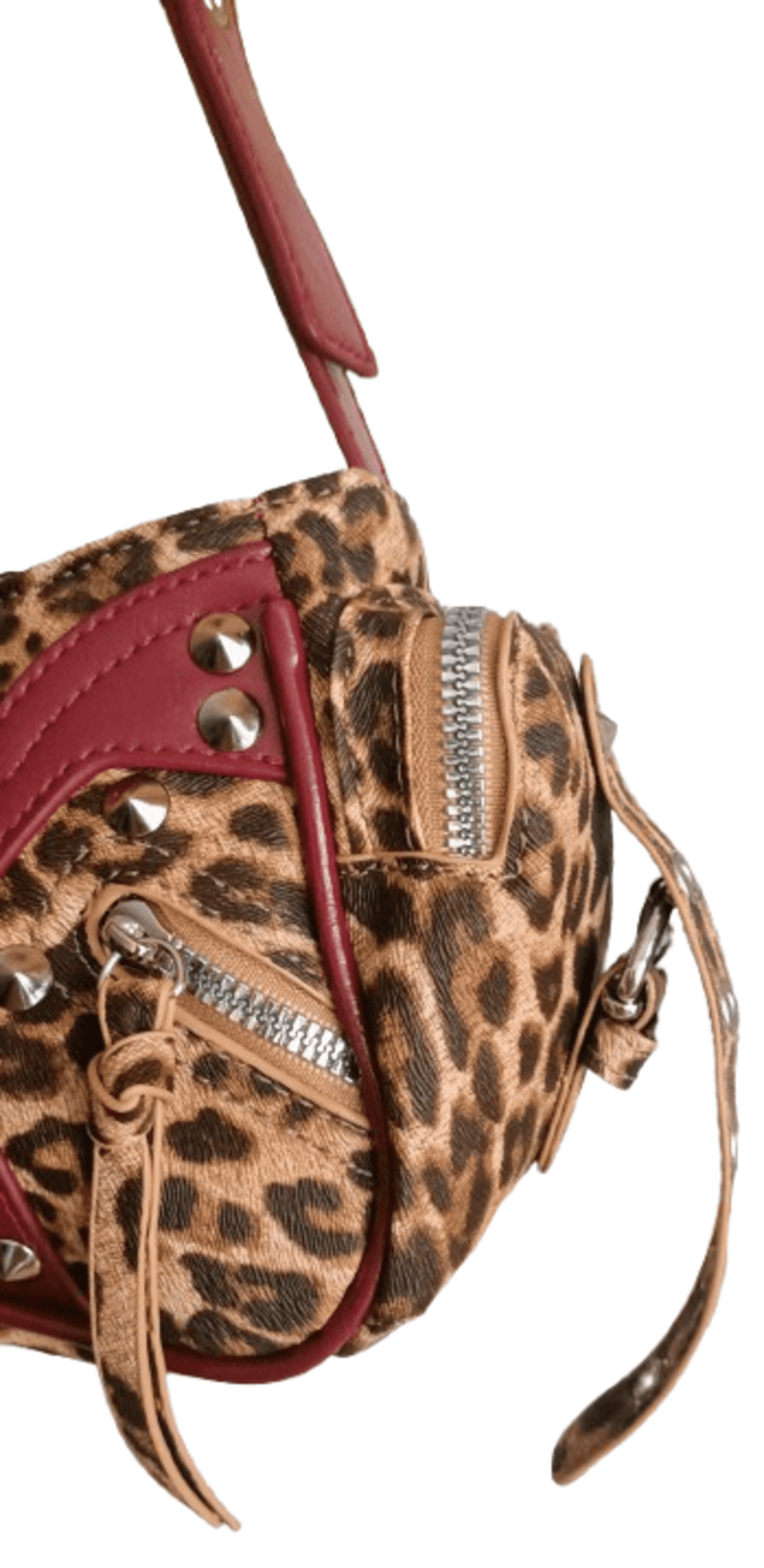 Dark leopard skull - 8