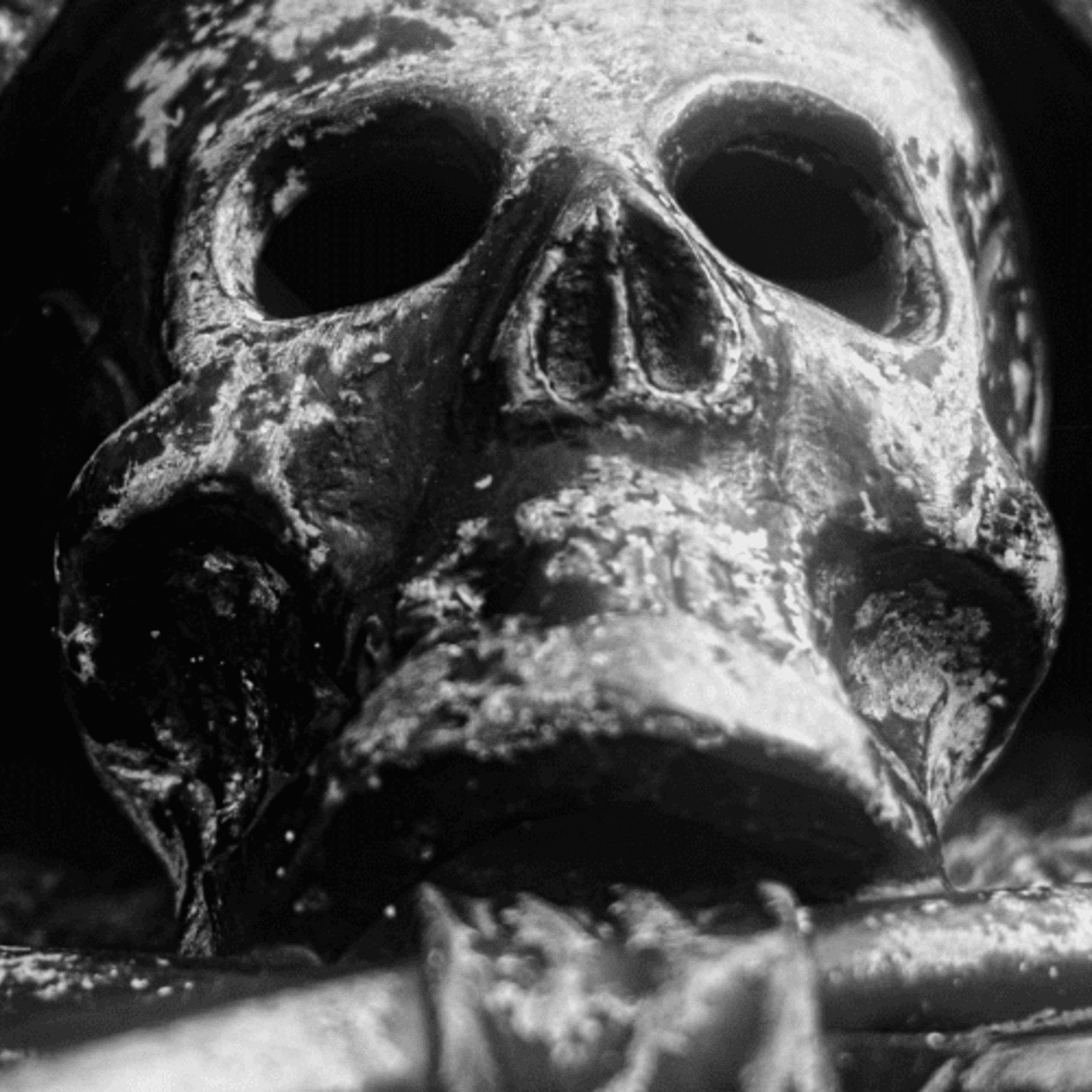 Dark Skull